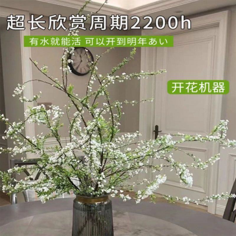 重瓣雪柳干枝支鲜枝水养插花水培植物鲜花卉室内盆栽绿植龙柳