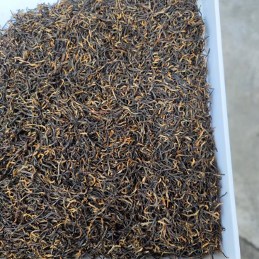 金骏眉红茶