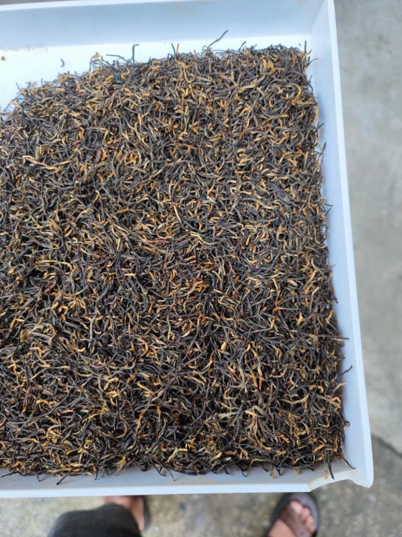 金骏眉红茶