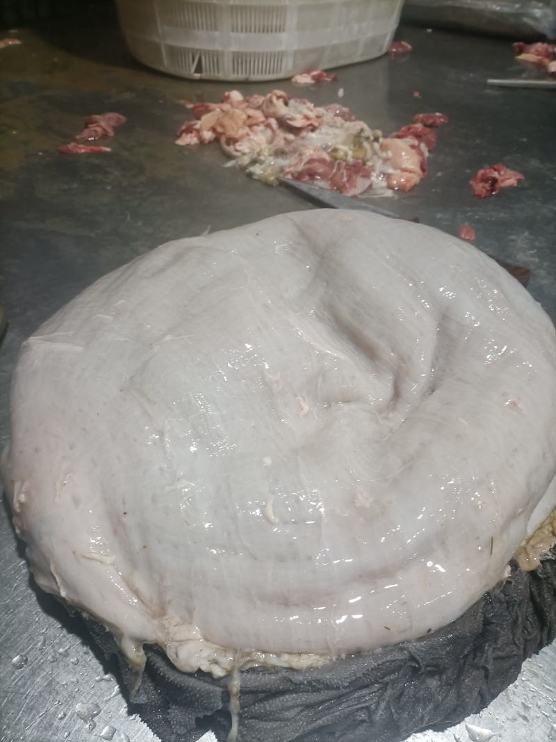 内蒙牛百叶纯干好货圆刀毛肚