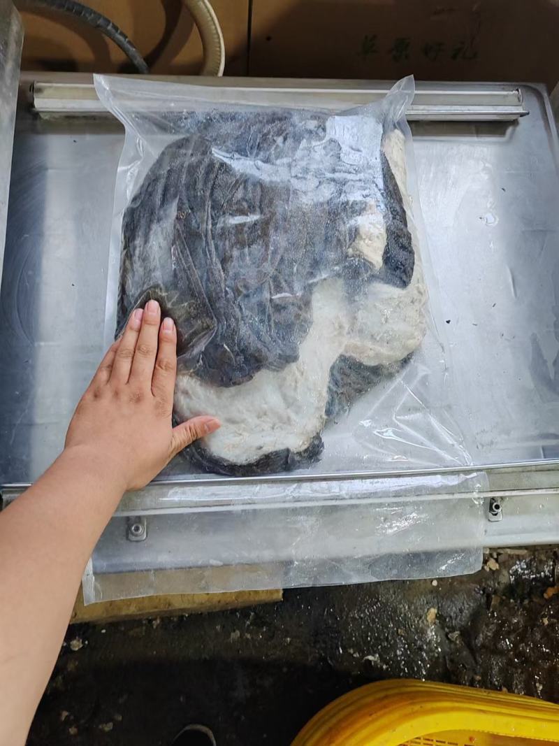 内蒙牛百叶纯干好货圆刀毛肚