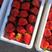 顺平县南伍候村红颜草莓大量上市，品质保证欢迎选购