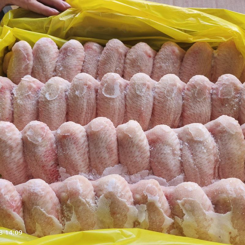 鸡副产品冷冻国产全翅，鸡翅，翅中翅根一级原料纯干