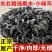 《热卖中》九月采摘的秋木耳黑厚圆碗肉弹价格美丽可视频
