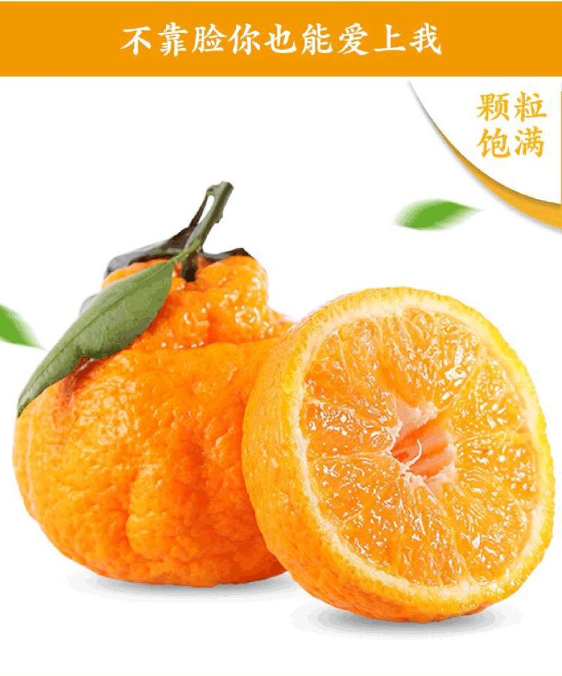 【不知火柑桔】湖北假丑橘大量供应皮薄多汁量大从优