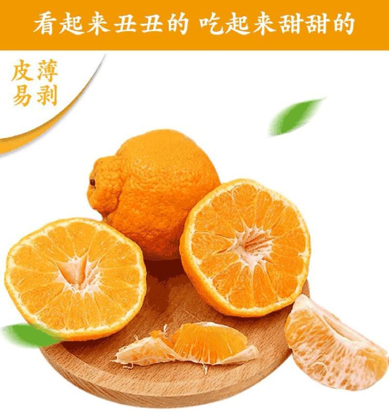【不知火柑桔】湖北假丑橘大量供应皮薄多汁量大从优