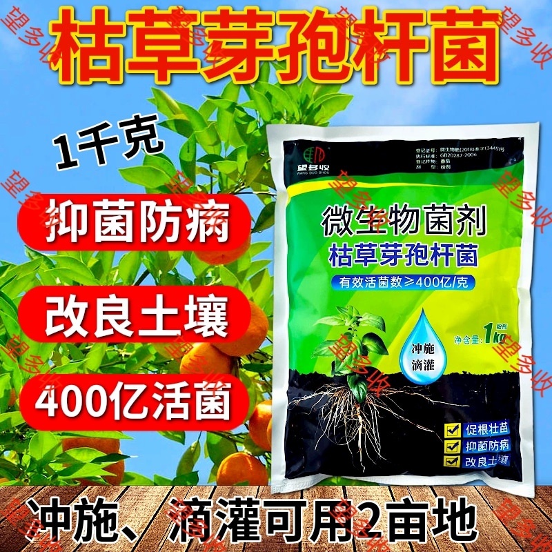 400亿枯草芽孢杆菌葡萄糖载体生物菌肥生根壮苗增肥