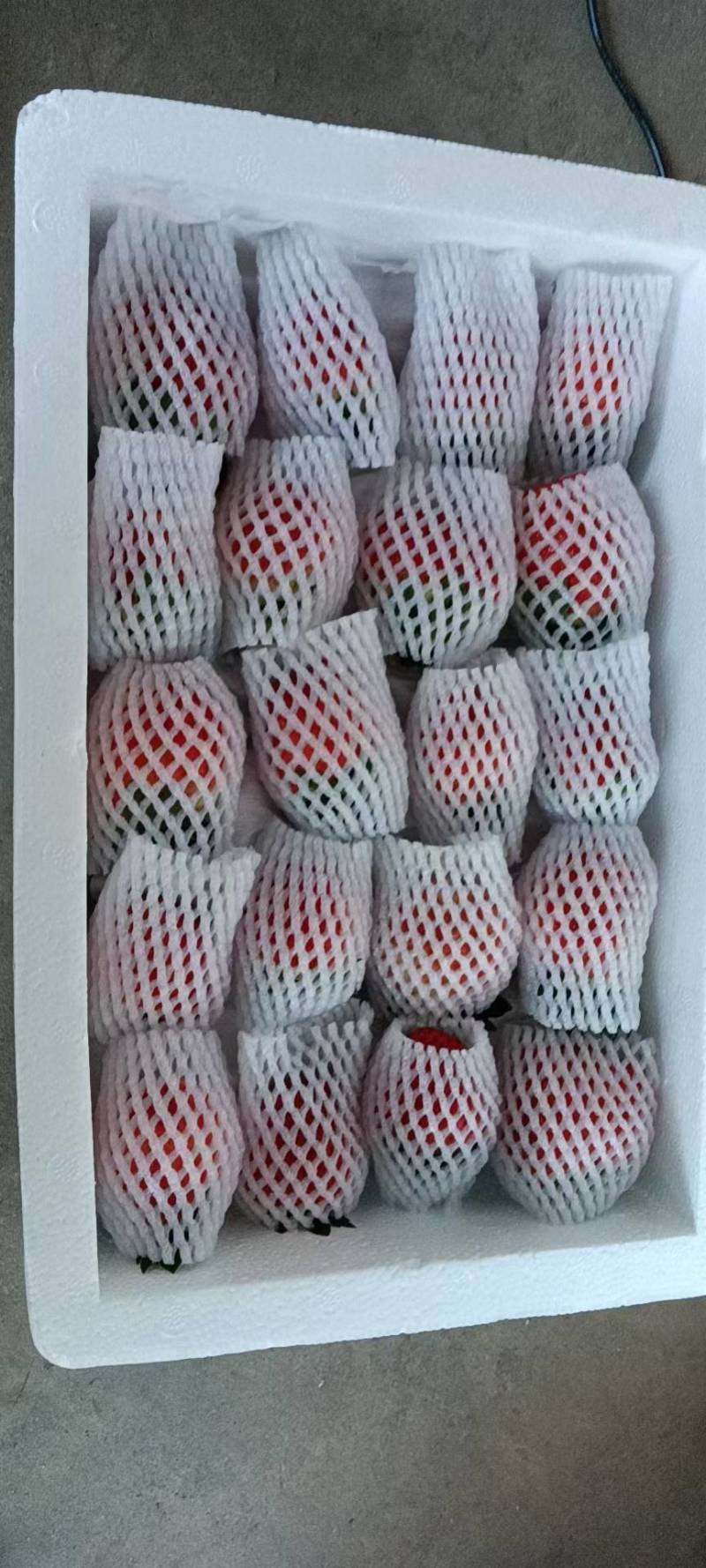 大凉山精品露天草莓！口感非常好，品质保证，诚信经营