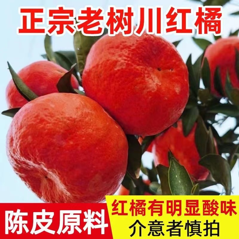 万州红桔,红桔,一手货源.万亩果园,对接全国市场