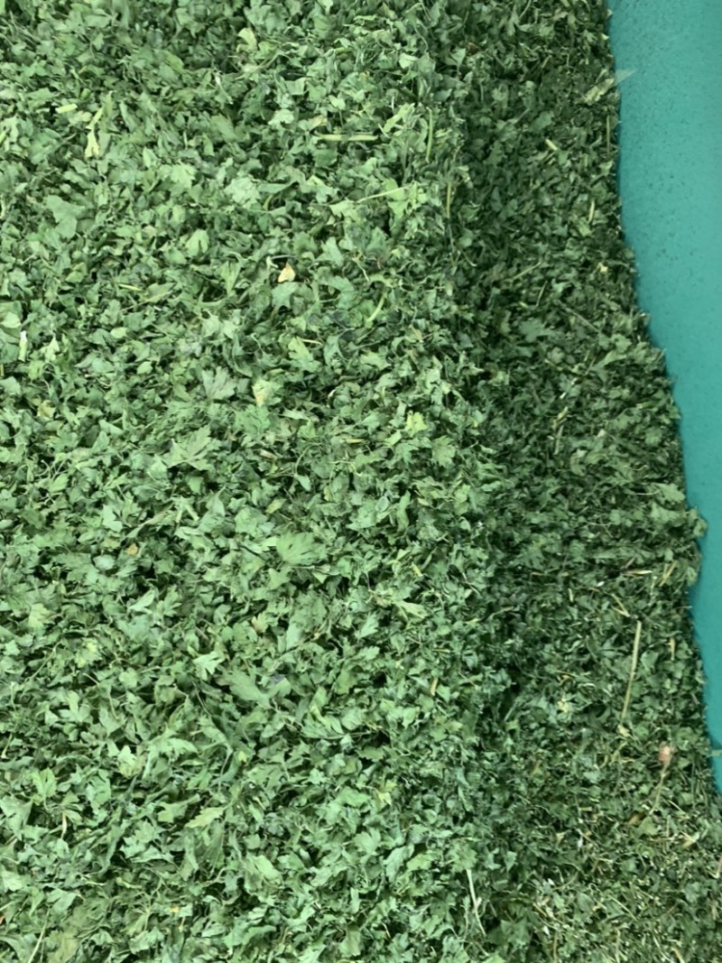 精选脱水欧芹供应