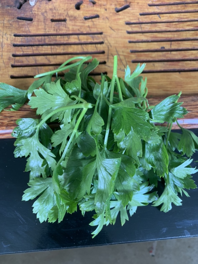 精选脱水欧芹供应