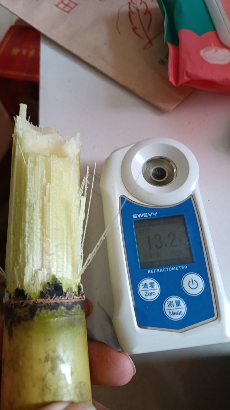 广西产黄金黄金甘蔗，皮薄脆甜多汁甜度高，节长个高条粗，大量有