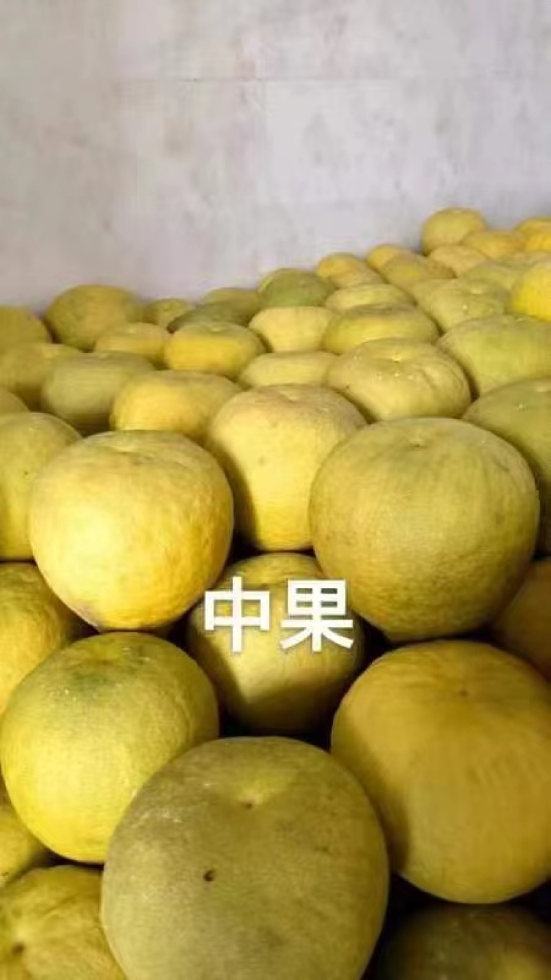 柚子