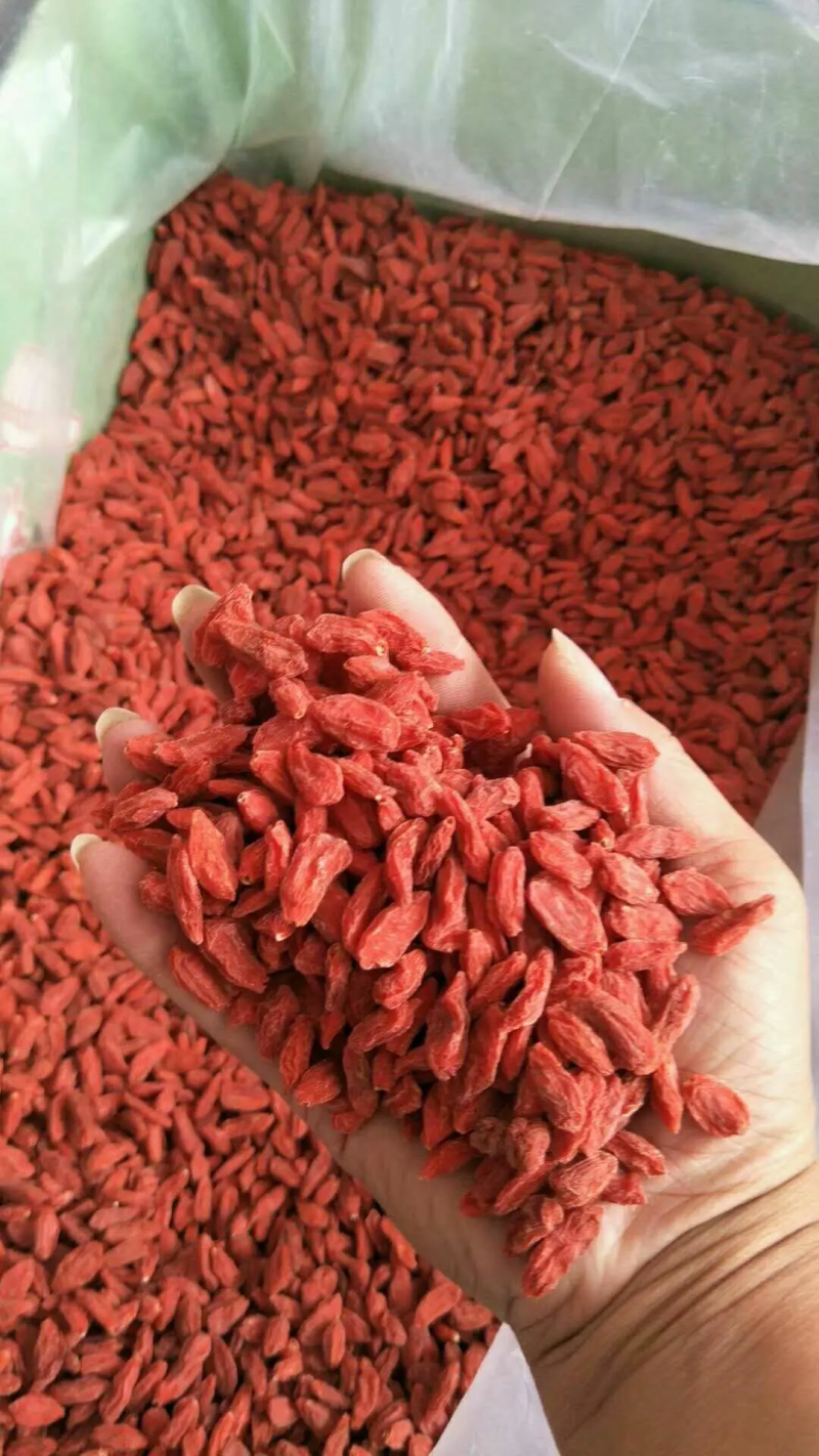 【推荐】宁夏枸杞质量好价格便宜诚信合作产地发货欢迎下单