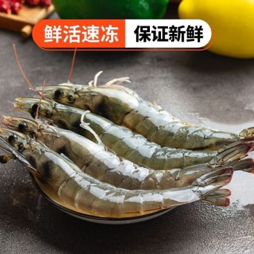 青岛大虾整箱海鲜鲜活速冻超特大冷冻基围虾鲜虾海虾对虾青虾