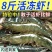青岛大虾整箱海鲜鲜活速冻超特大冷冻基围虾鲜虾海虾对虾青虾