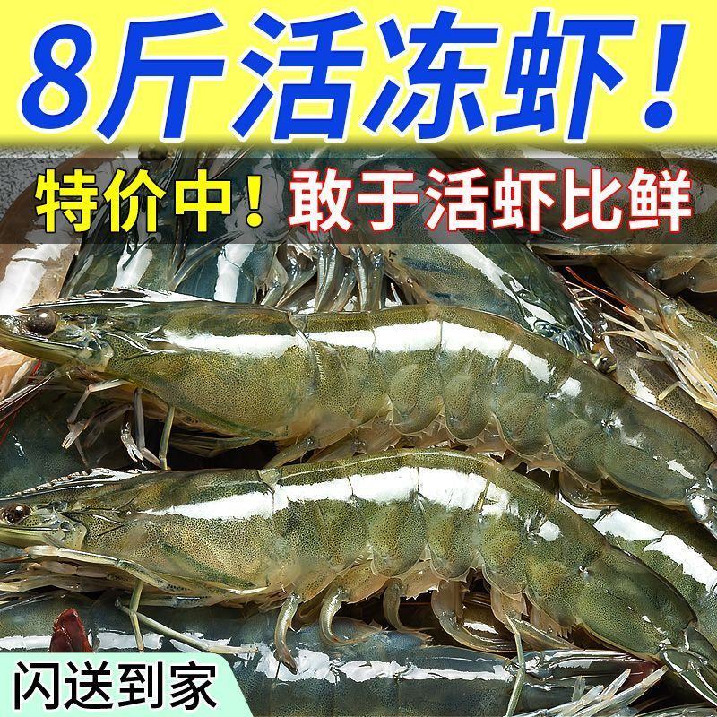 青岛大虾整箱海鲜鲜活速冻超特大冷冻基围虾鲜虾海虾对虾青虾