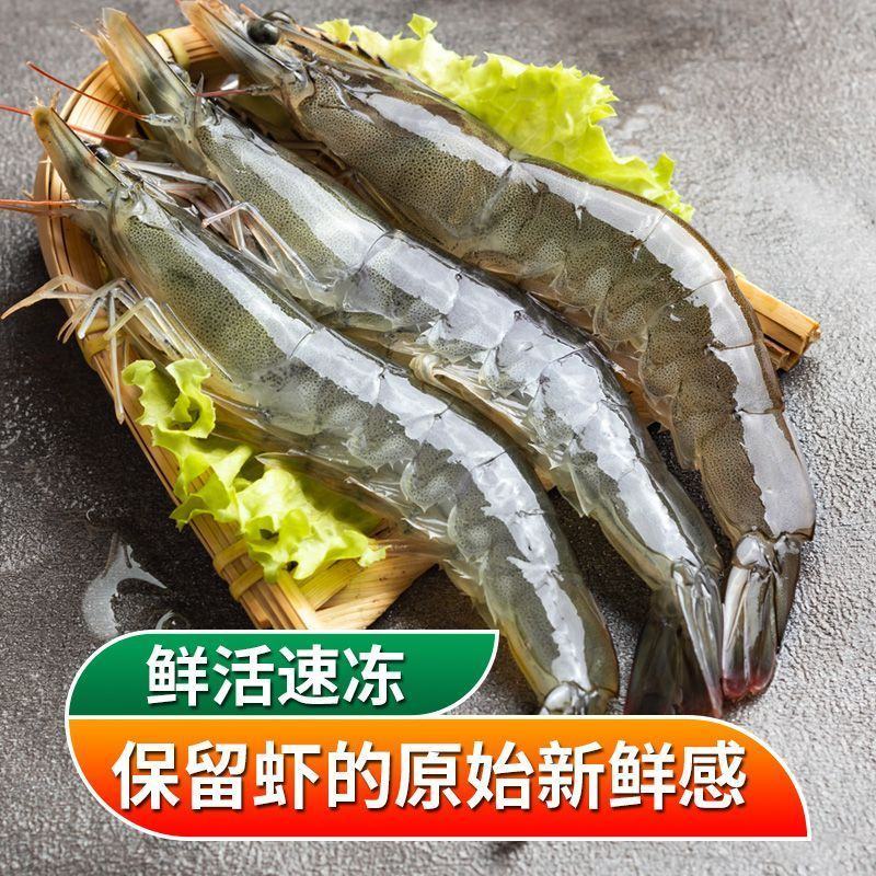 青岛大虾整箱海鲜鲜活速冻超特大冷冻基围虾鲜虾海虾对虾青虾