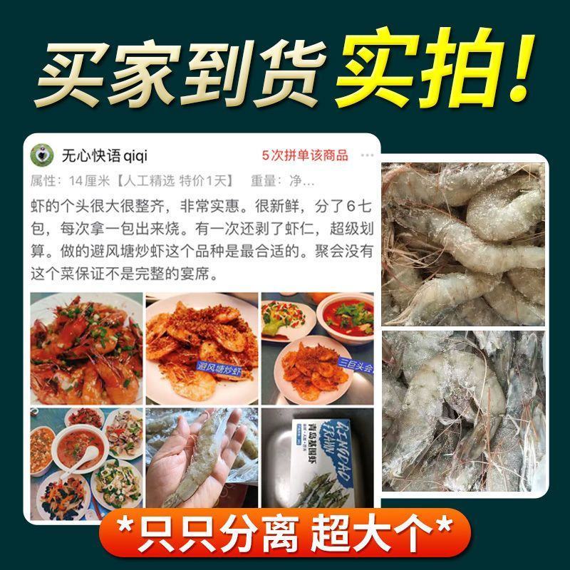 青岛大虾整箱海鲜鲜活速冻超特大冷冻基围虾鲜虾海虾对虾青虾