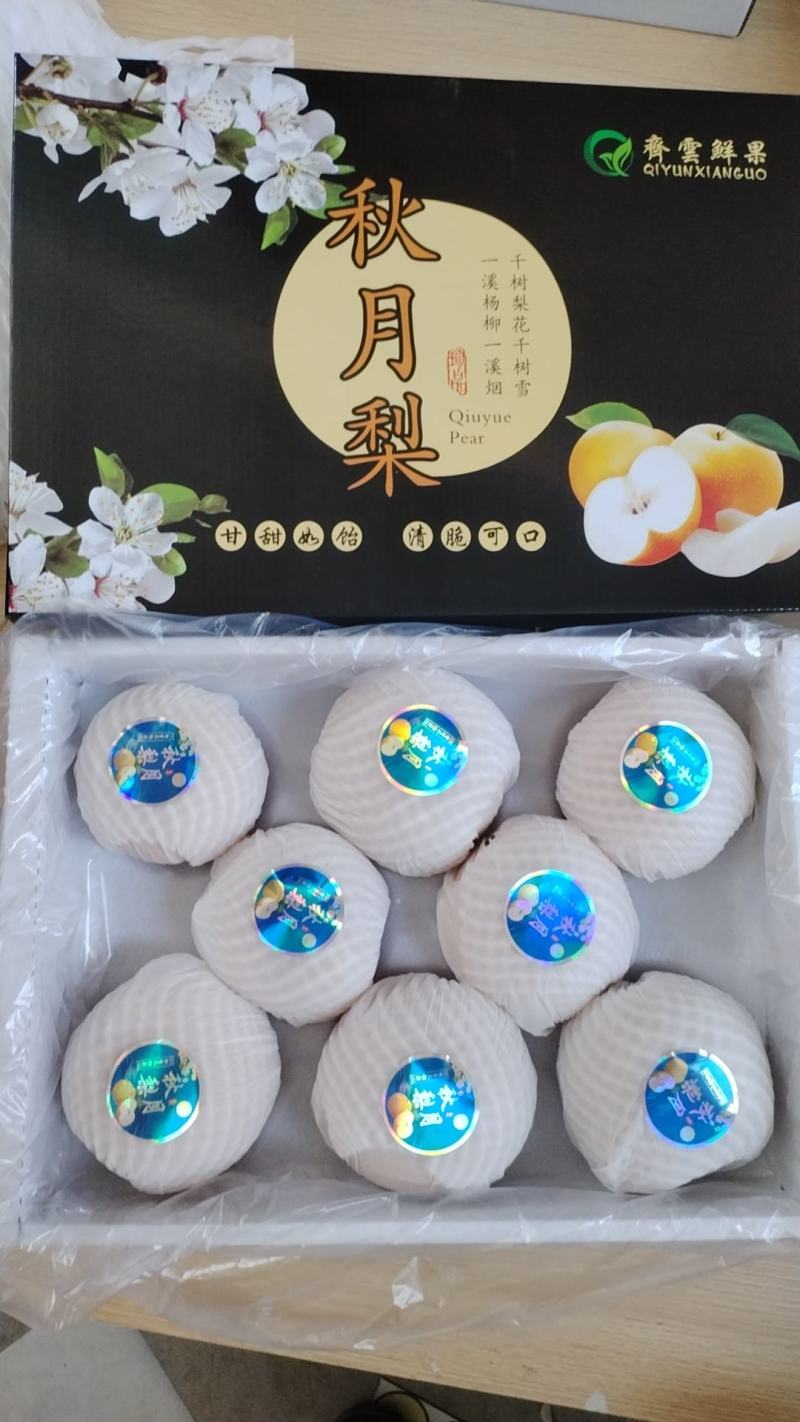 山东青岛秋月梨丰水梨圆黄梨南水梨产地直采大量供应