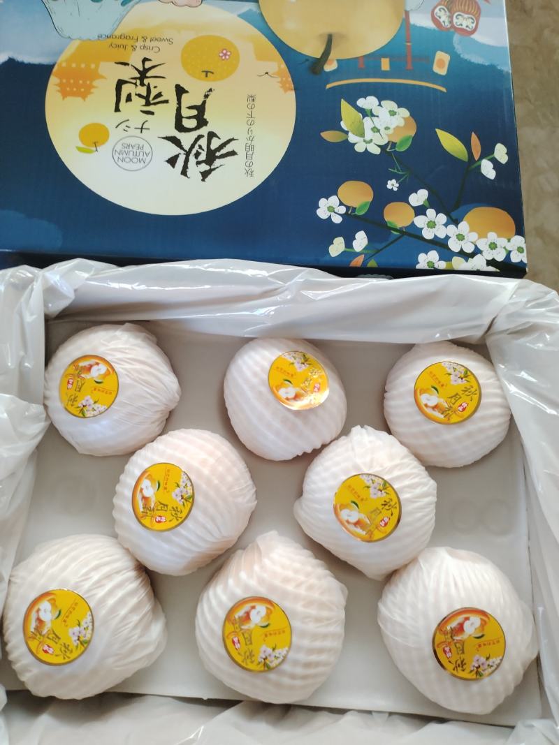 山东青岛秋月梨丰水梨圆黄梨南水梨产地直采大量供应