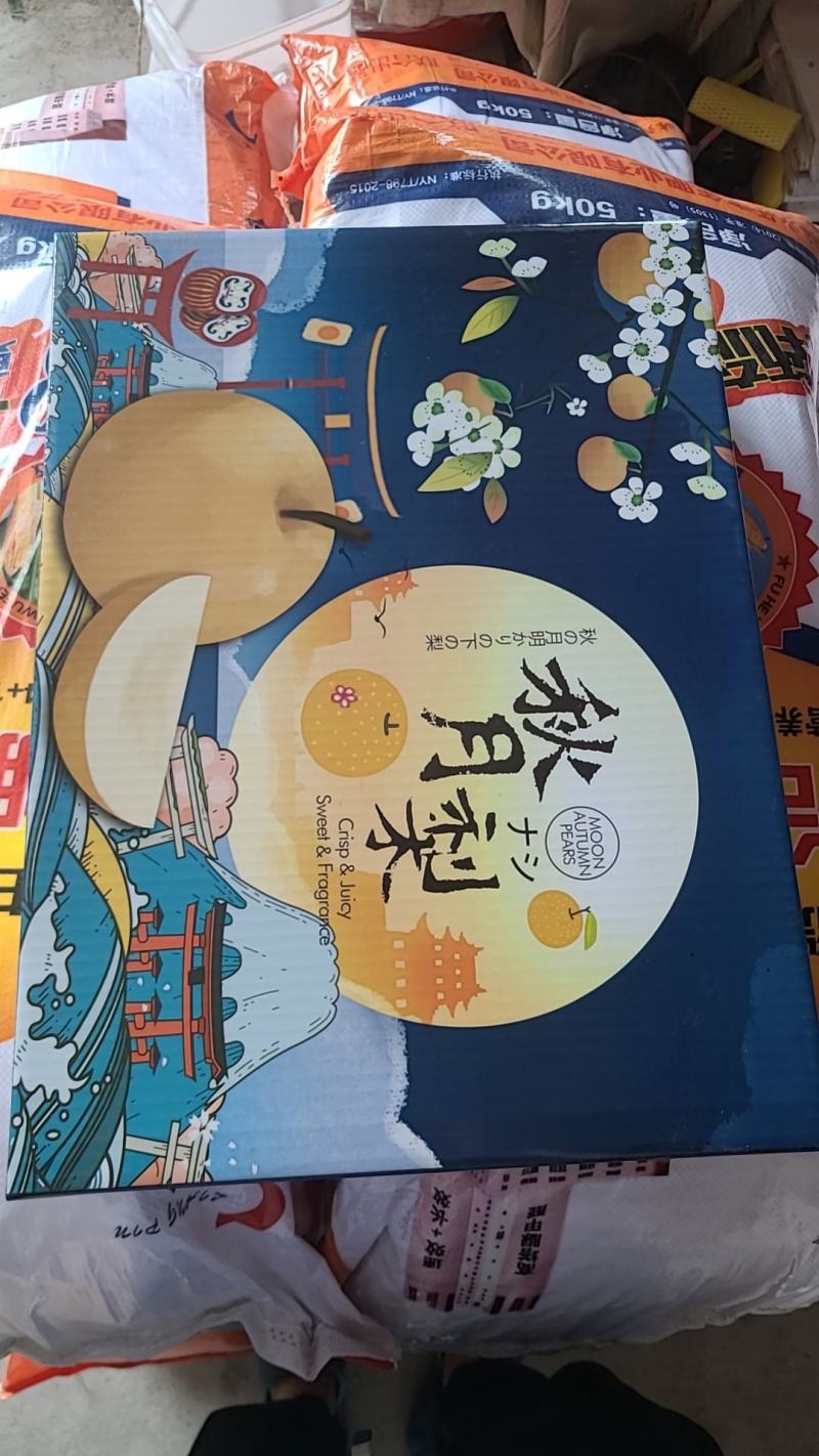 山东青岛秋月梨丰水梨圆黄梨南水梨产地直采大量供应