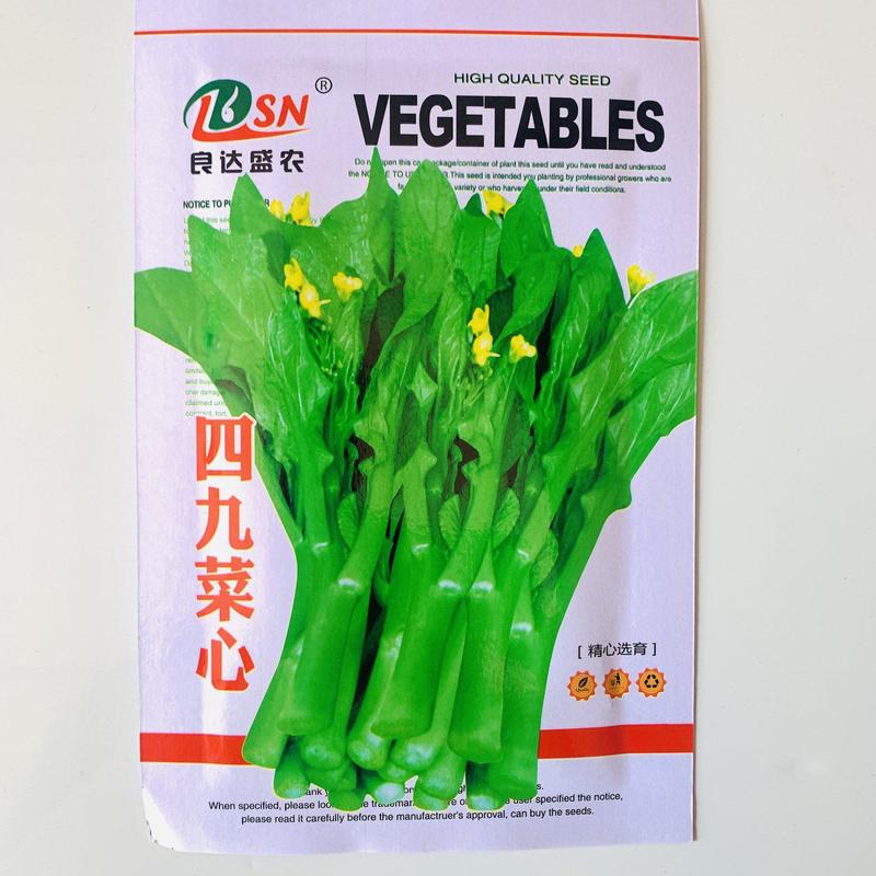 小白菜菜种子矮脚上海青种子小青菜籽蔬菜种子油菜阳台园艺四