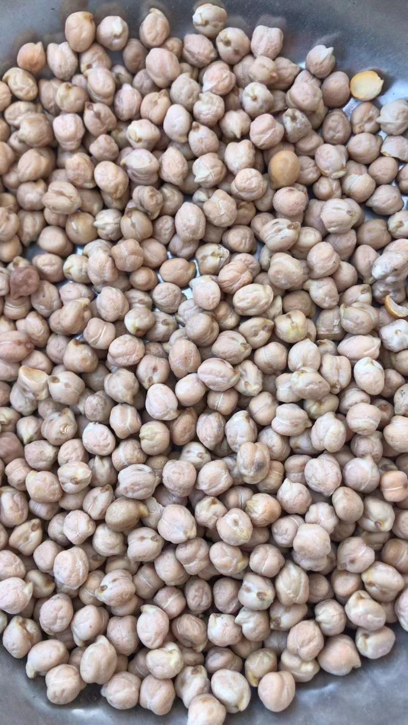 进口鹰嘴豆桃豆鸡豆12mm三色豆大颗粒