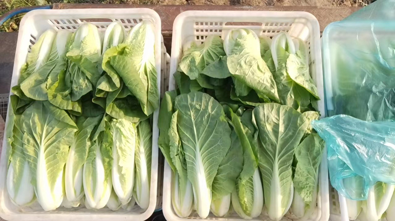 菜市场摊位标签对比图