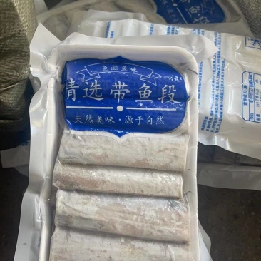 带鱼段