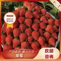 草莓产地直发量大从优，香甜可口，诚信经营，欢迎来电咨询
