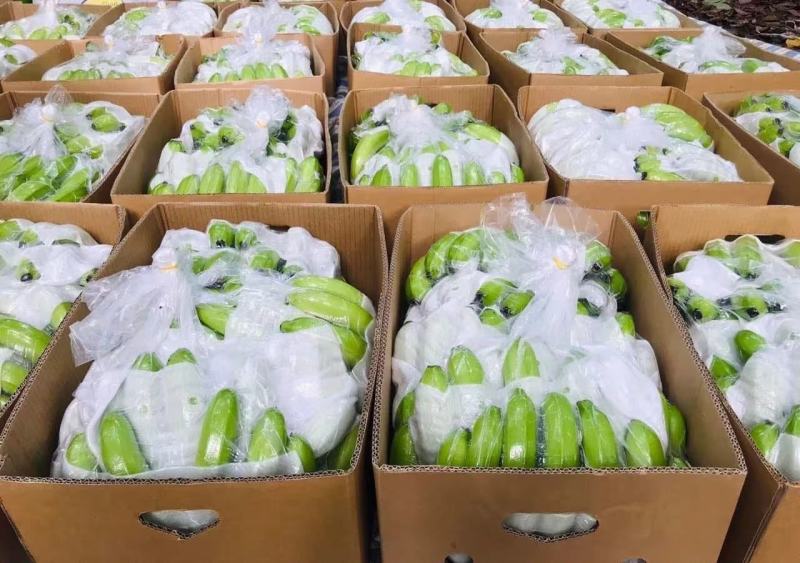精品香蕉，基地直发，价格便宜，全球发货，支持转口贸易