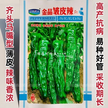 特辣辣椒种子高产小皱皮椒种子皱皱辣种子皮薄辣香味浓