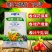 瓮福25kg膨化闪溶磷酸二氢钾促进花芽分化
