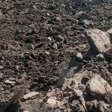 。甘肃古浪土门有机肥基地，面向全国联盟优质采购商。