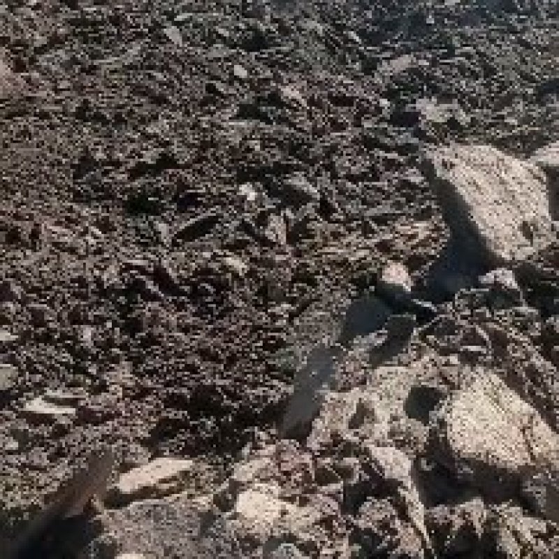 。甘肃古浪土门有机肥基地，面向全国联盟优质采购商。