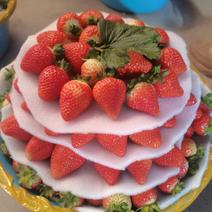 高山奶油草莓