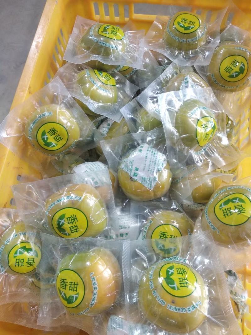广西桂林产地恭城脆柿大量出货，电商，市场都有，欢迎对接