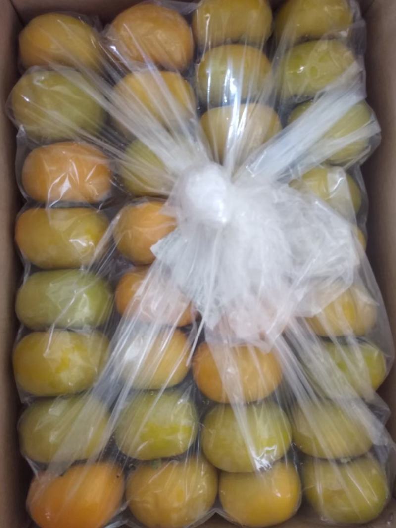 广西桂林产地恭城脆柿大量出货，电商，市场都有，欢迎对接