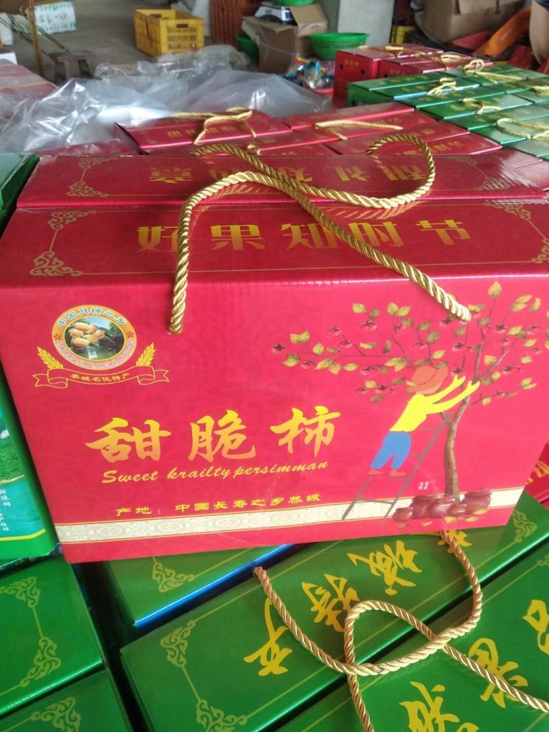 广西桂林产地恭城脆柿大量出货，电商，市场都有，欢迎对接