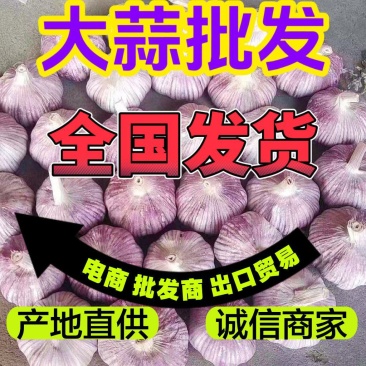 金乡大蒜承接商超社团出口加工代发全国市场可视频
