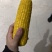 速冻玉米