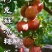 阿克苏原产地冰糖心苹果5斤实惠装一件代发京东包邮