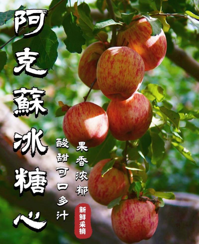 阿克苏原产地冰糖心苹果5斤实惠装一件代发京东包邮