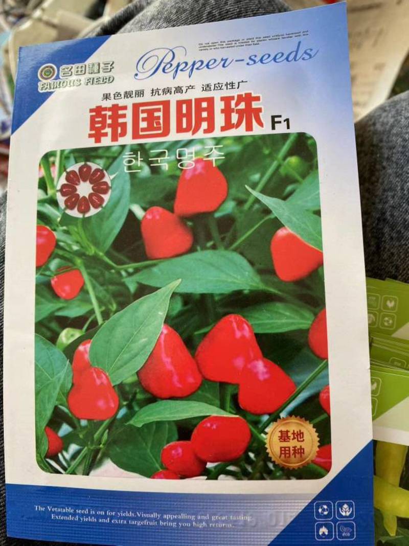 【精选种子】草莓椒种子云南产地直供可视频看货一件代发