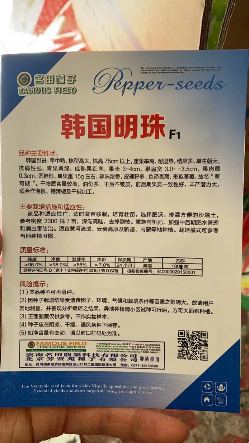 【精选种子】草莓椒种子云南产地直供可视频看货一件代发