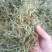 化石草肾精茶产地直供供应海拔3000米以上可对接电商发货