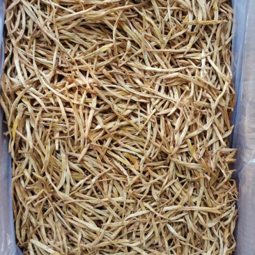 大荔县黄花菜自家种植大量低价出售，每件20斤长期供