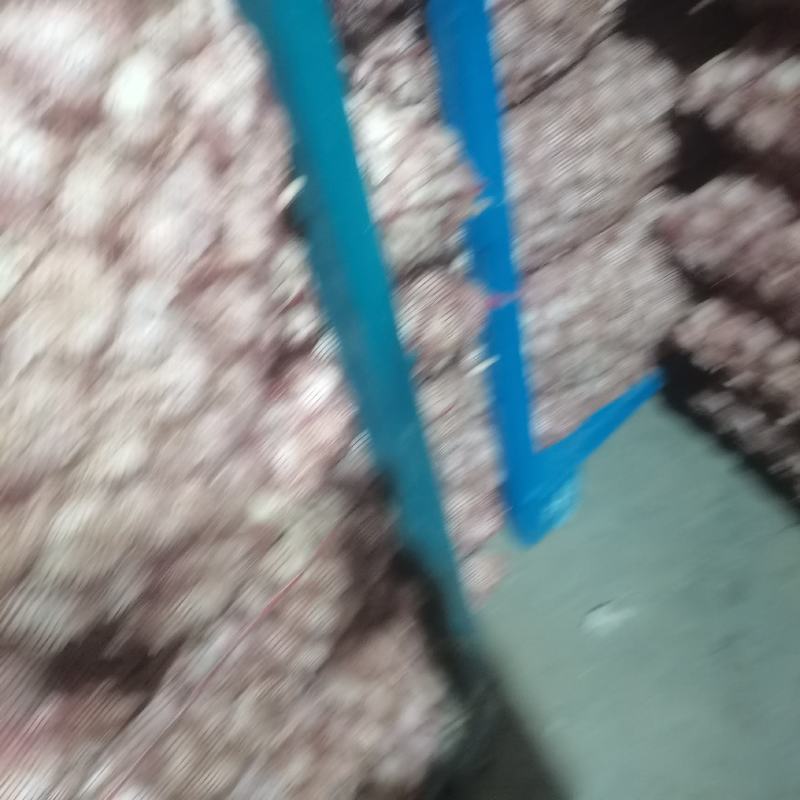山东金乡济宁大蒜出库中加工好的干净无杂视频看货实地订货