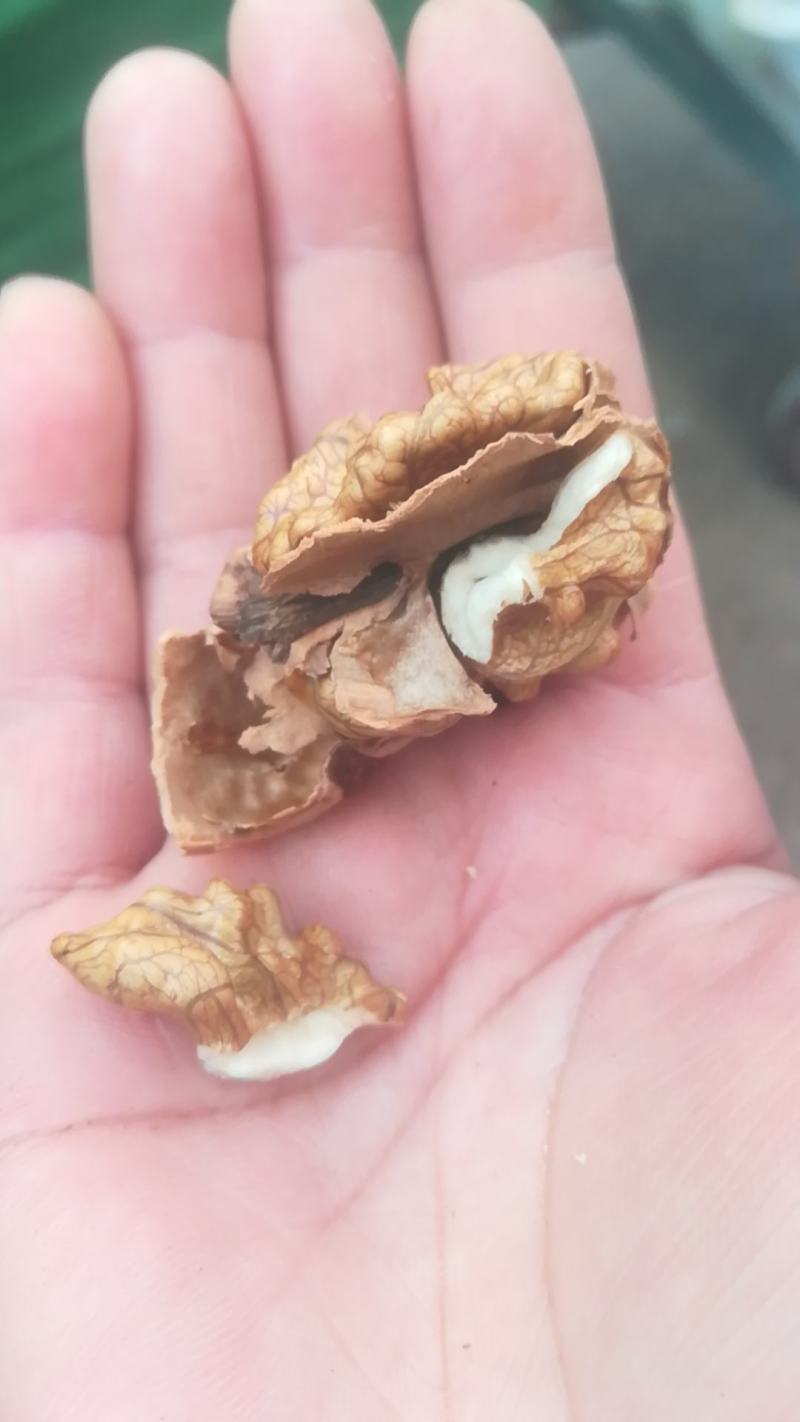 云南弥渡核桃纯手工制作自然风干欢迎联系